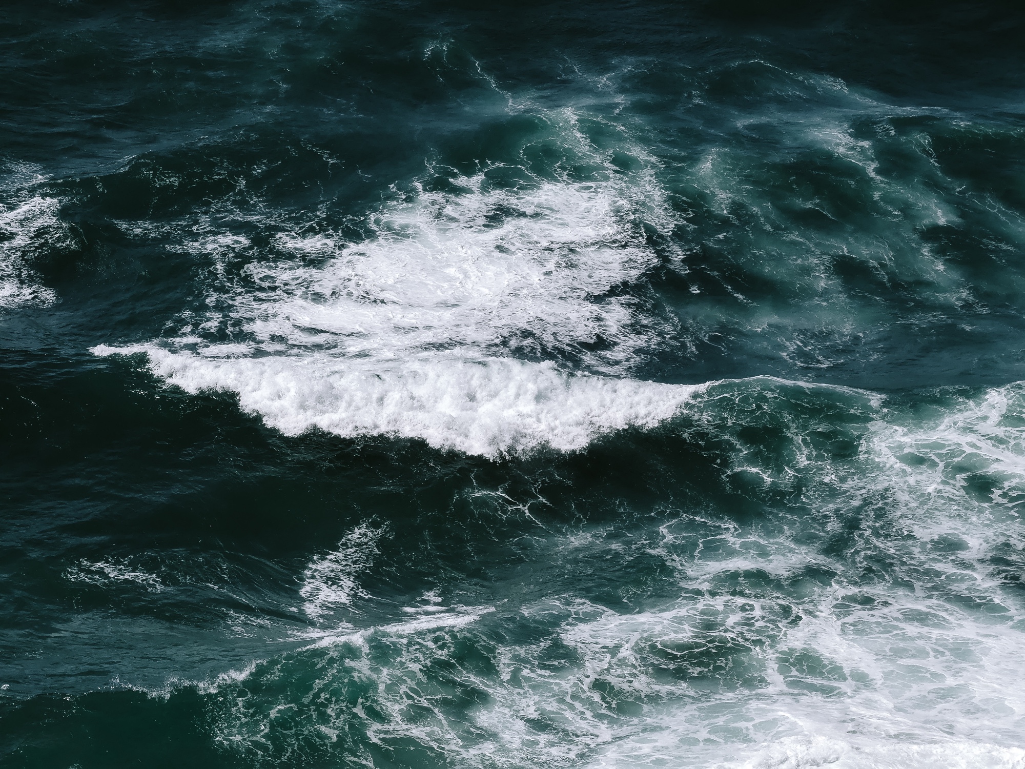 Leading in Turbulent Times